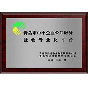 青島市中小企業(yè)公共服務(wù)社會(huì )專(zhuān)業(yè)化平臺